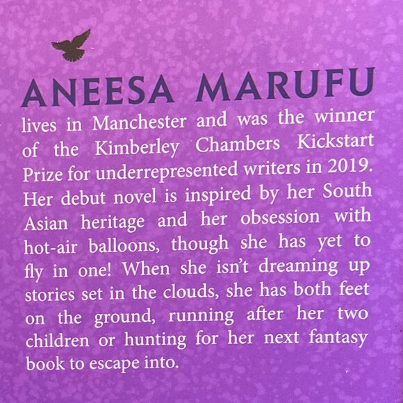 Rebel of Fire and Flight by Anneesa Marufu ~ Young Adult YA Fantasy Fiction - Picture 10 of 11